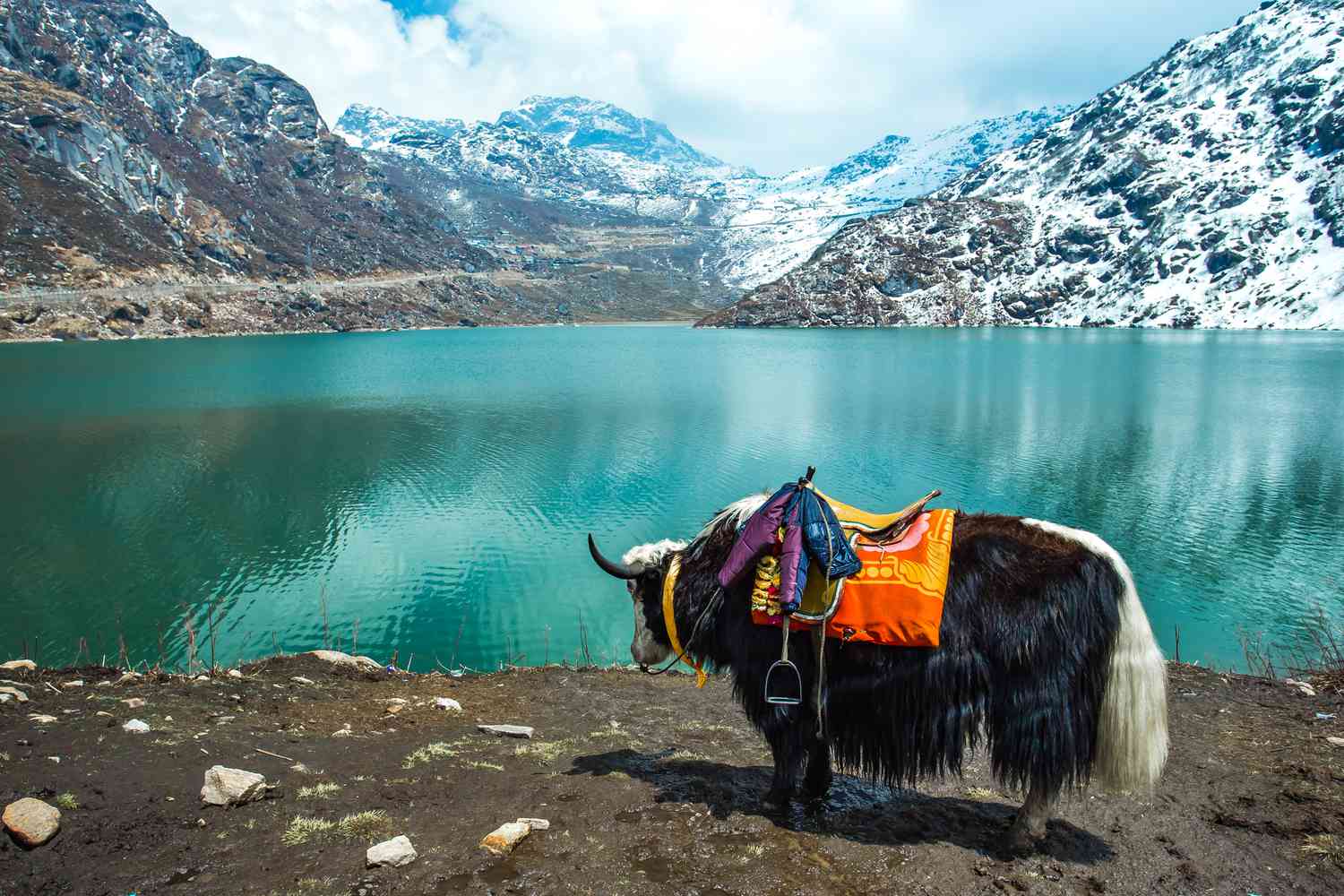 Sikkim Scenic View
